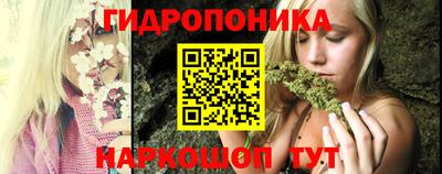 apvp Нальчик